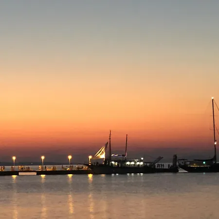 Irene بيفكوهوري