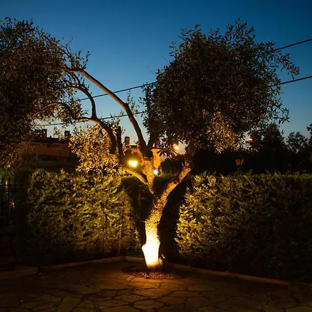 Irene Apartmán Pefkochori